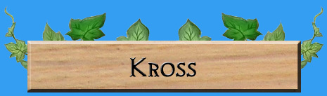 Rune Factory Frontier Kross