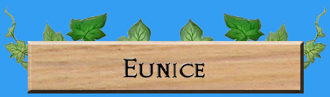 Rune Factory Frontier Eunice