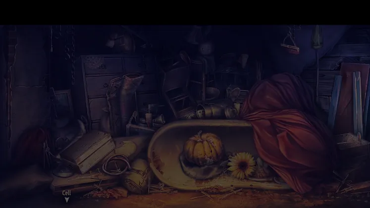 Murder In the Alps: Forgotten Momento - Investigation 1: Dark Room.