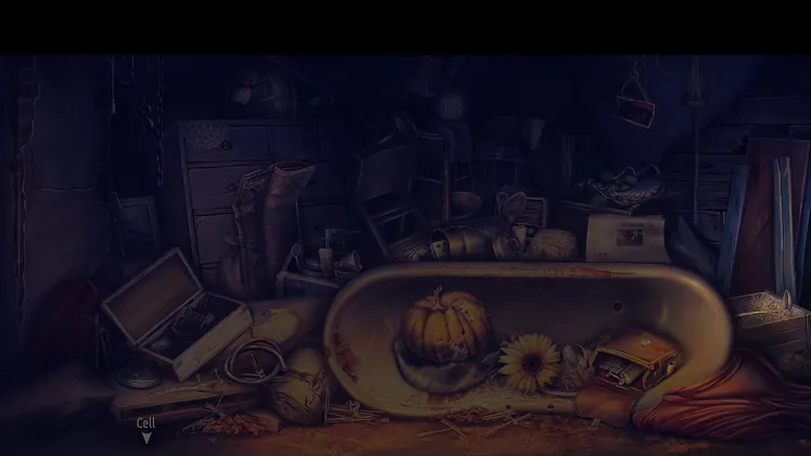 Murder In the Alps: Forgotten Momento - Investigation 1: Dark Room Open