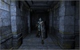 Legend of Grimrock: Skeleton Warrior