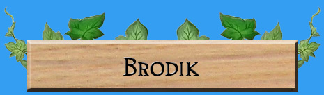 Rune Factory Frontier Brodik