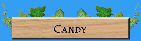 Rune Factory Frontier Candy