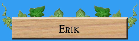 Rune Factory Frontier Erik