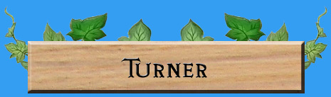 Rune Factory Frontier Turner