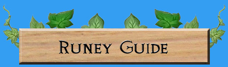 Rune Factory Frontier Runey Guide